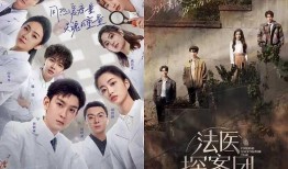 宁安如梦爆料新闻报道,揭秘娱乐圈幕后真相